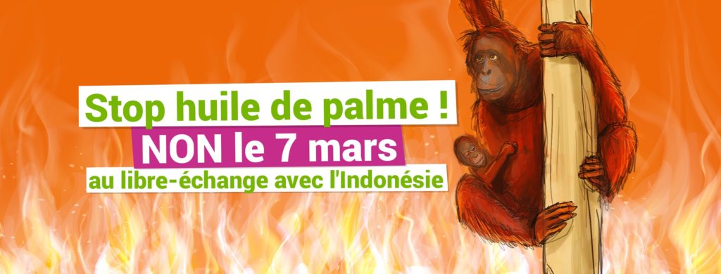 Visuel Jeunes Vert.e.s - stop huile de palme