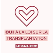 oui-transplantation